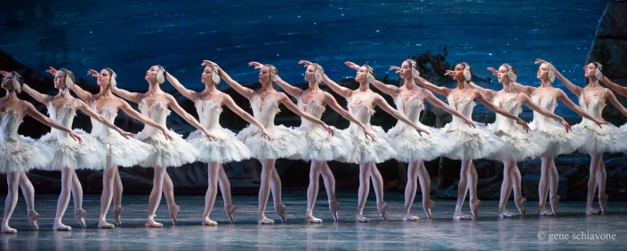 a-corps-de-ballet,-swan-lake